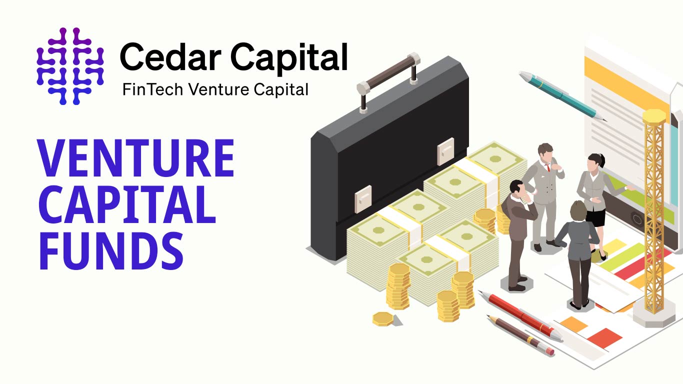 Cedar Capital Raises Rs 240 Cr VC Funding For B2B FinTechs