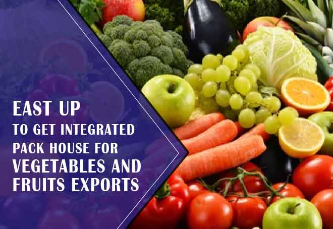 East UP to get integrated pack house for vegetables and fruits exports