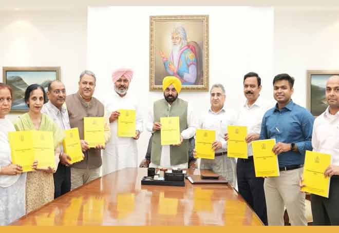 Punjab CM unveils Vision Document 2047 to attract investments in state