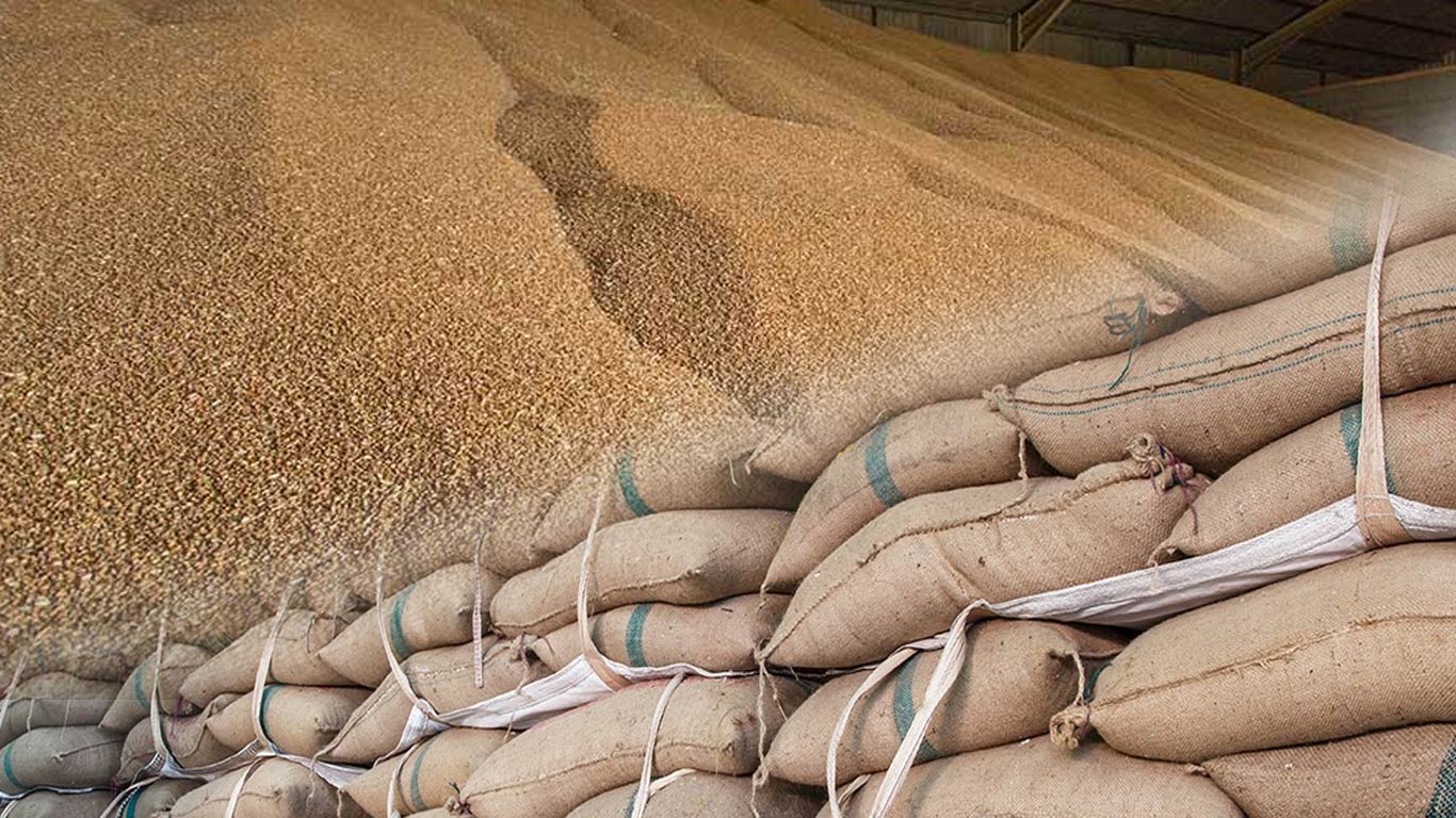 India's Wheat Stockpiles in Govt Warehouses Fall After Poor Harvests