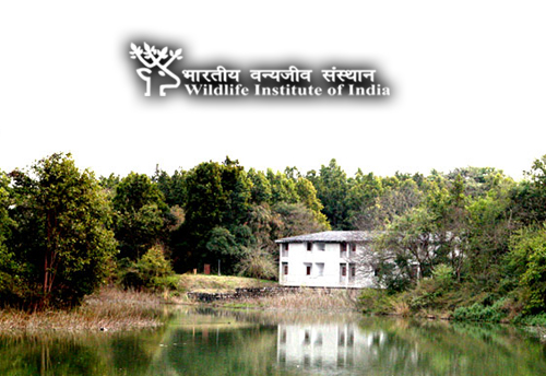 WII-Dehradun invites application for Associates to strengthen fishing communities