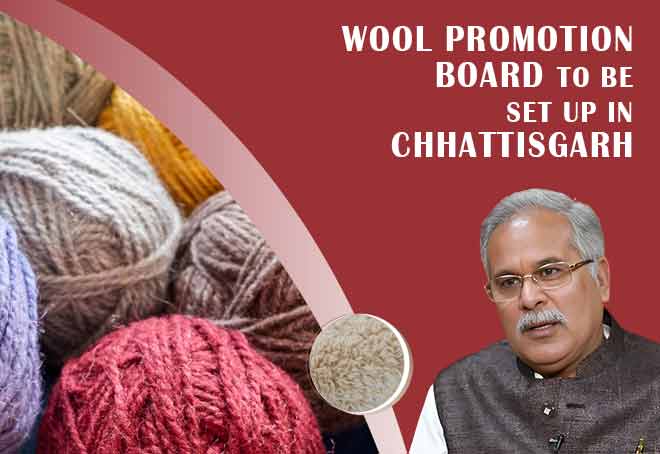 Wool Promotion Board to be set up in Chhattisgarh