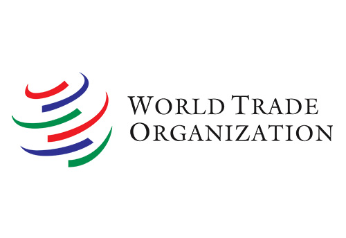 Special and differential treatment is critical at WTO and is non-negotiable for India: Commerce Minister