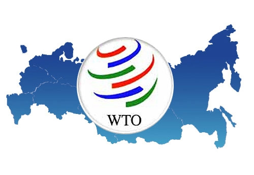 Process to set up panel for coordination & implementation of WTO’s trade pact started