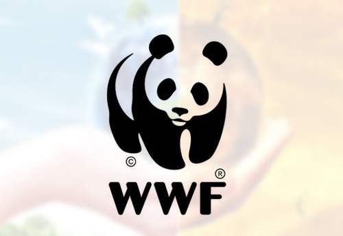 WWF-India holds workshop on clean-tech innovation in SME sector in Chennai