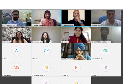 CICU, GIZ organise webinar on schemes for women entrepreneurs