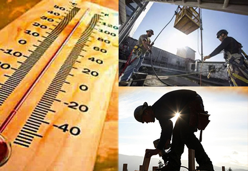 Rising temperature impact worker productivity and absenteeism: Report