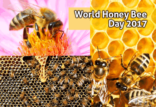 President-MSME Min visits Apiary on World Bee Day 2017