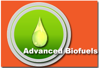 DSM NV integrated bioconversion solution for the advanced biofuels market