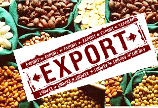 APEDA to identify infrastructure gaps for agri exporters in Maha, Gujarat