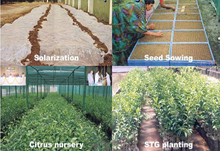ICAR mulls various initiatives to enrich agricultural research and education