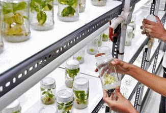 Scientific research to receive govt funding