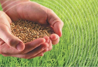 NABARD charging lower interest on agro industries 