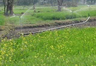 Agri sector to get priority says FM Jaitley 