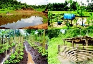 Indian Angel Network to support innovation in farm to market logistics