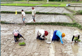 M Pradesh to review bio-diversity rules