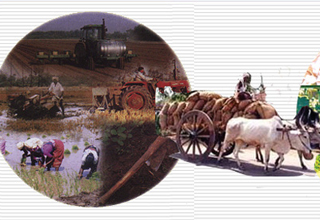 Foreign offers for building value chain in cold storage, food processing