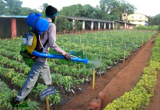 Govt approves Rs 13,073 cr for agricultural mission
