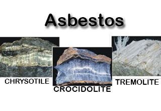 Safety & Health Exhibition Centre on Asbestos & Silica at RLI Faridabad  