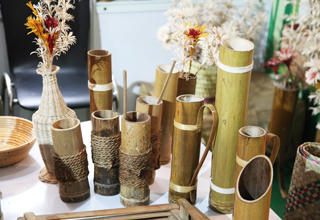 MP to develop bamboo sector