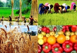 Bihar's agri & food industry may touch Rs 1 lakh crore by next year: Study 