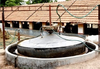 Roadmap for bio-energy sector in India critical 