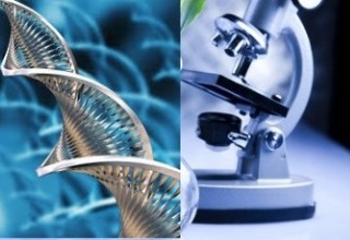 Biotechnology Council invites research proposals from small units