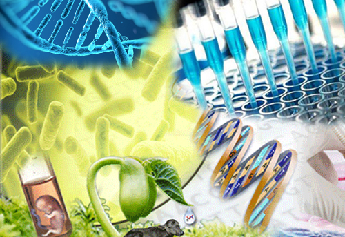 West Bengal to set up three Biotechnology hubs