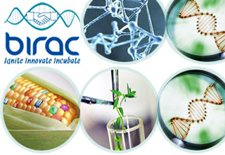 Govt to promote small biotech units for innovation research