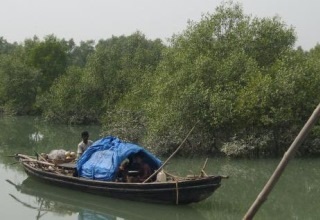 Govt delegates powers of registration, survey & certification of fishing boats to states/UTs