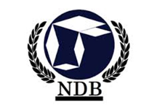 NDB's first loan will be issued in Chinese currency: Kamath