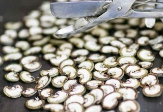 PepsiCo to source cashew from small farmers in Maharashtra