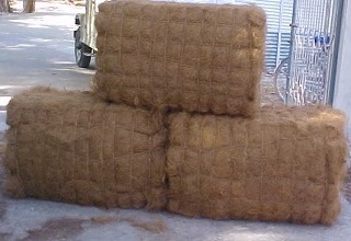 Tamil Nadu gets new coir unit in Pattukottai
