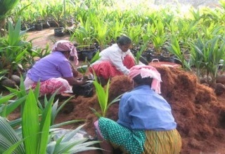 Simpler names for Coir Board schemes; MSME mobile friendly website launched 