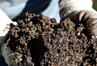 Cabinet approves policy on promotion of city compost