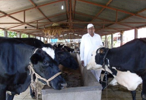 NIESBUD organizing programme to help become govt certified commercial dairy farming consultant