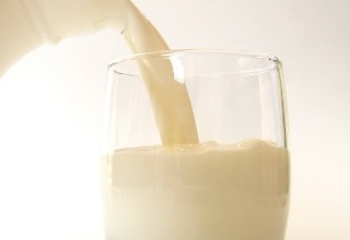 Development of the dairy sector