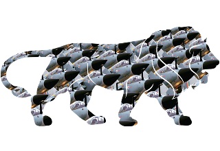 Need to enlarge role of private sector in production of defence equipment