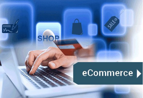 MSME Ministry has plans to come up with e-commerce portal for MSMEs