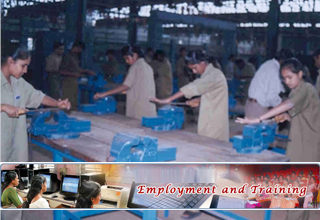 MSME-TDC, Agra to run IT courses for 12th pass