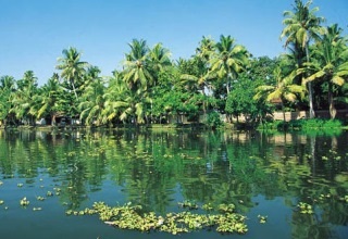 Environment protection under constitutional framework of India 