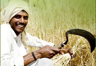 Farmers' Association seeks more investment in irrigation from new Govt