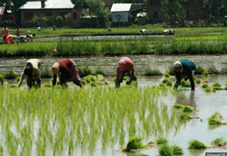 Government to provide Subsidy for Farmers for Purchasing Agricultural Implements  