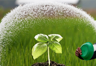 Govt approves Gas Pooling in Fertilizer Sector 