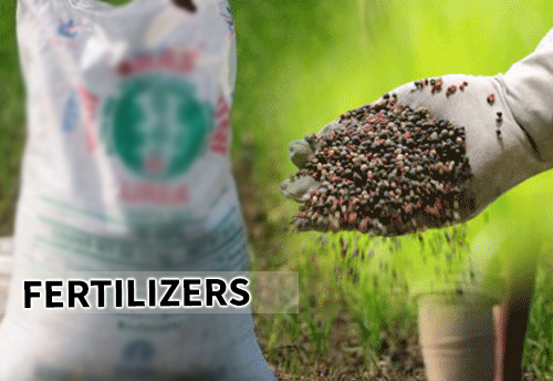 There is no shortage of any fertilizer in the country as availability is more than the sales: Rao Inderjit Singh