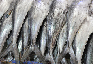 Odisha to improve infra and connectivity among fishing clusters