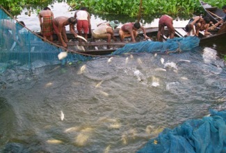 Govt to review fishery schemes to help fishermen