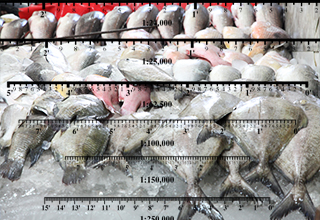 Fishery Science emerging as career option