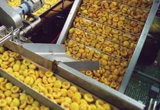 Punjab to get mega food park at Ladhowal