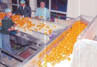 Punjab to equip food processing units with new machines